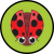 LadyBeetleSwap
