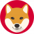 ShibaInu2