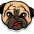 Puginu pug