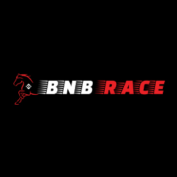 BNBRACE