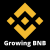 Growing BNB