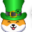 Irish shiba bird