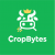 CropBytes