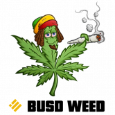 BUSD Weed