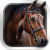 Win NFT Horse