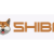 SHIBASTORM