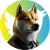 DOGE CEO