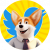 CORGI CEO