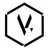 V.Hive – Team Vitality