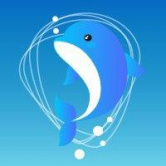 DolphinSwap