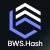 BWS.Blockchain.Hash