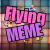 Flying Meme