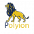 Polyion