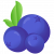 BlueBerry Finance