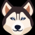 Husky Inu