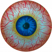 The Doomer Collective