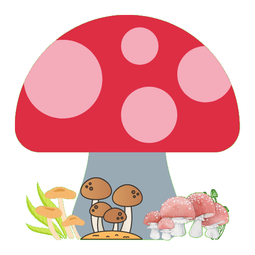 Fungi Finance