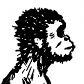 Australopithecus NFT