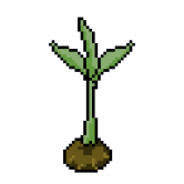 Pixel Seedlings